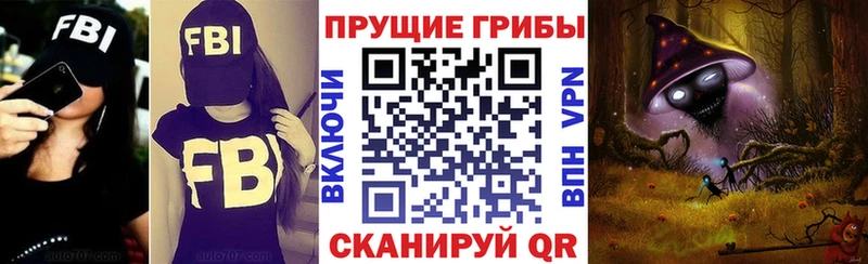 закладки  Судак  Галлюциногенные грибы GOLDEN TEACHER 